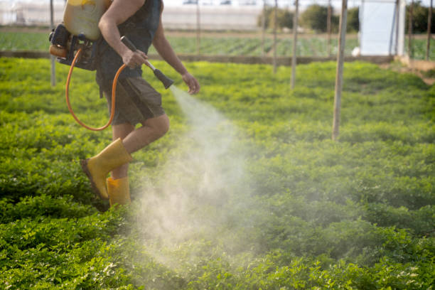 Best Pest Inspection Near Me  in Crainvle, IL