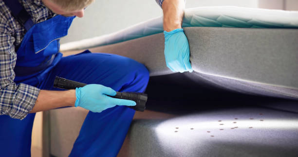 Best Bed Bug Extermination  in Crainvle, IL