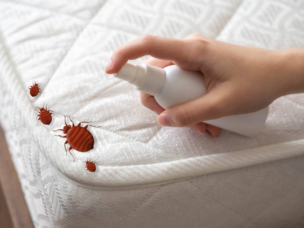 Best Best Pest Control Companies  in Crainvle, IL